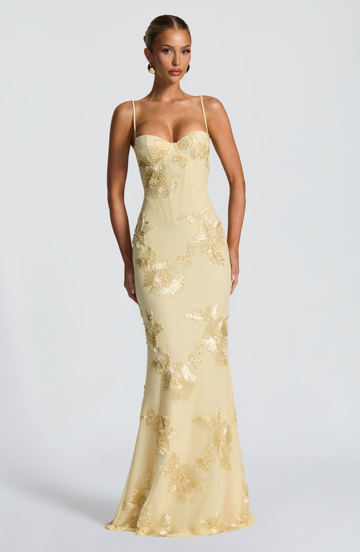 ANNA & CLAIRE BRISBANE | OPEN BACK MAXI DRESS FOR WOMEN
